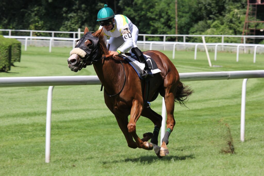 Black Caviar is About To Make Her Mark In the UK horse racing